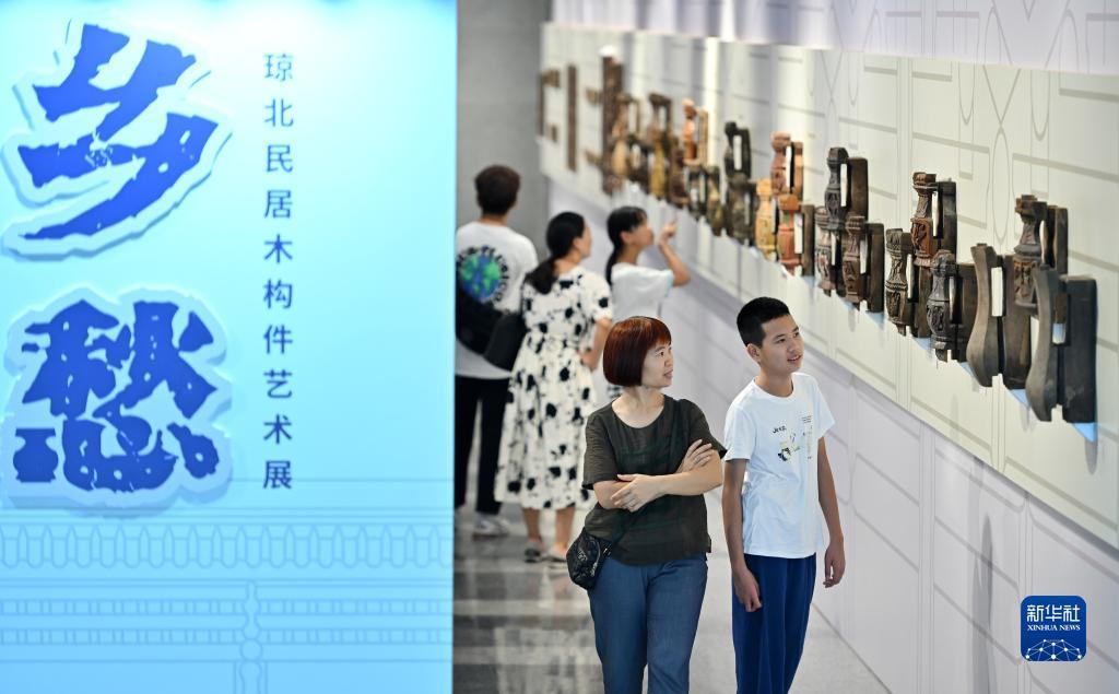 大发贝斯特是什么
